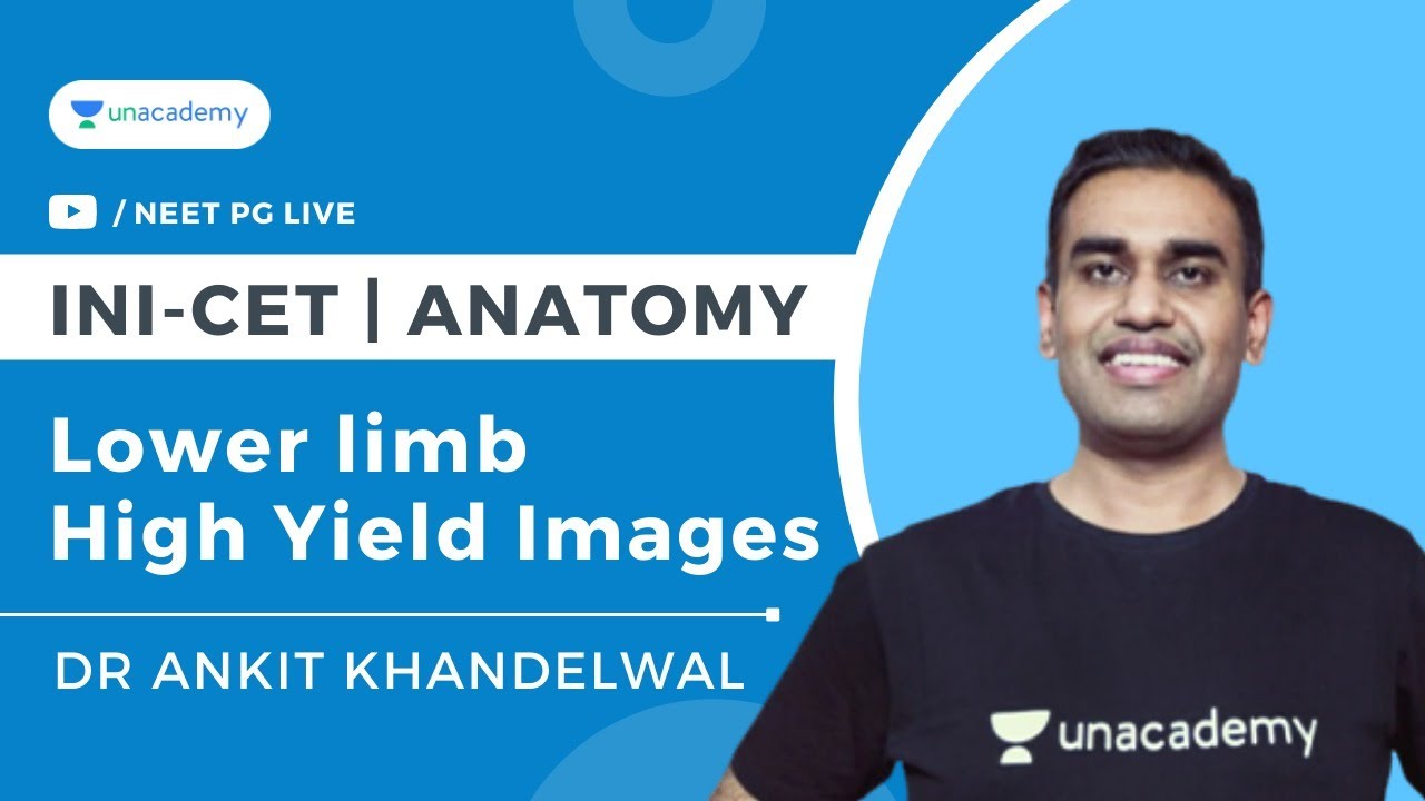 INI-CET Special | Anatomy Lower Limb Images | Dr Ankit Khandelwal