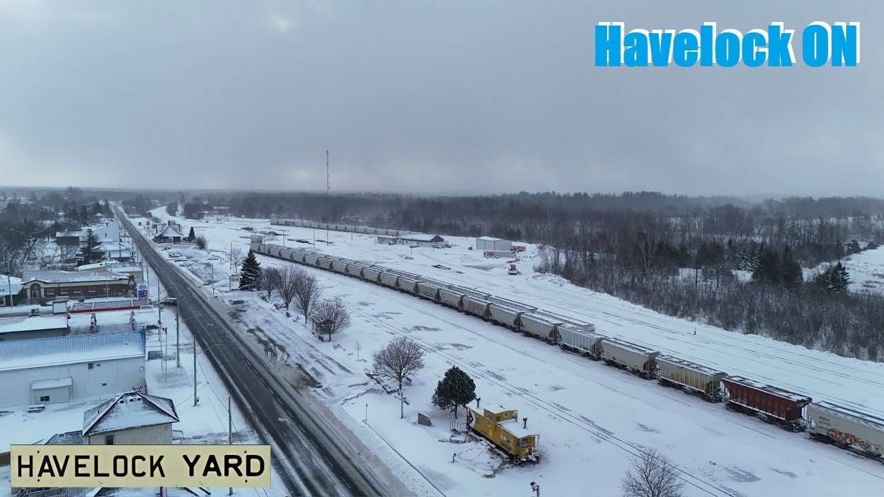 More Snow in Havelock