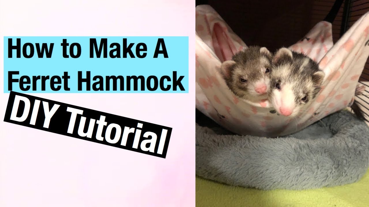 How to make a ferret Hammock (DIY Tutorial )