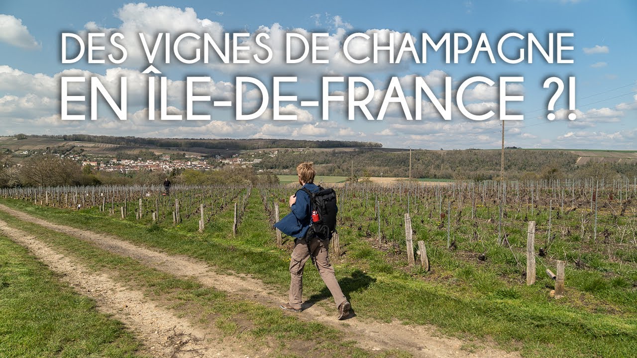 Les meilleures randonnées autour de Paris #10 - Les vignes et coteaux de la Marne