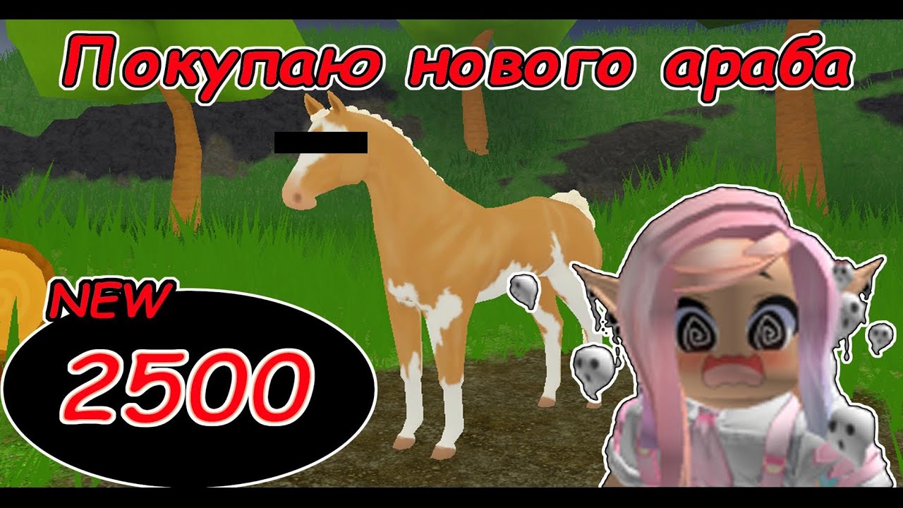 Покупаю нового араба в Wild Horse Islands! (Roblox)