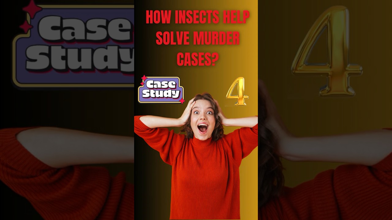 How Insects Help Solve Murder Cases I Real Life case Examples I Suresh Taruvu @TaruvuForensicVlogs ​