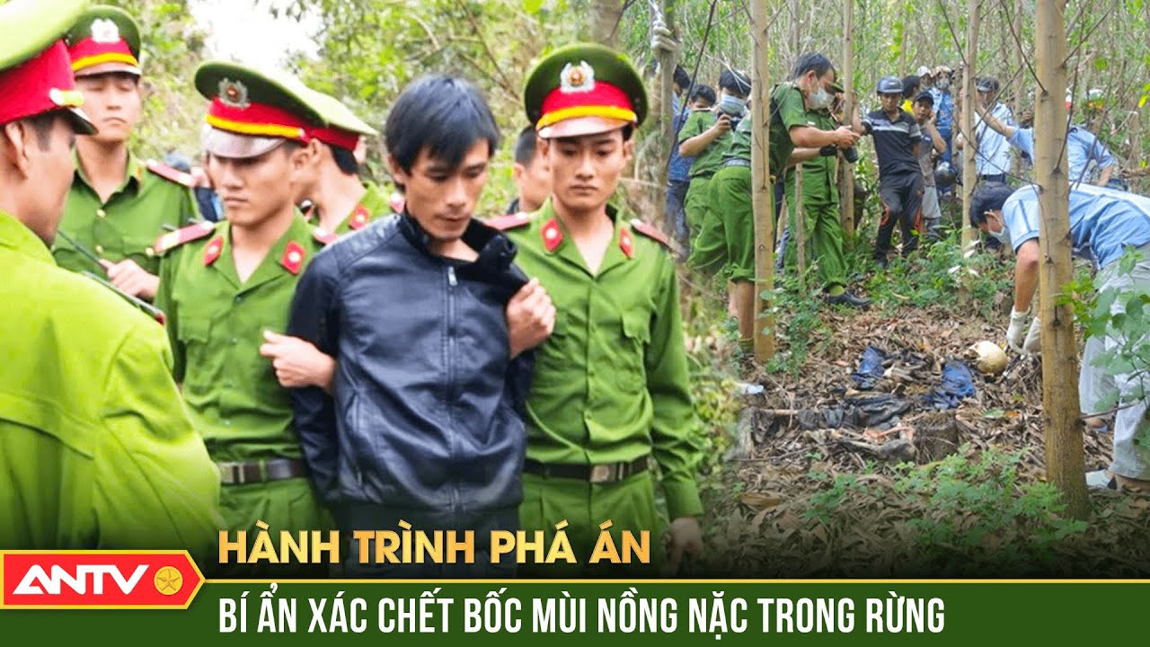 SỰ THẬT rợn người đằng sau những thi thể không nguyên vẹn đang bốc mùi trong rừng |Hành trình phá án