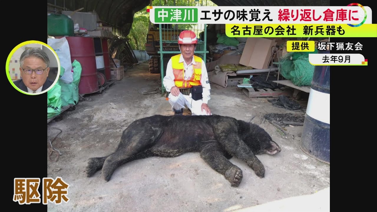 米ぬかの味覚えて繰り返し…体長140cm超のクマが農機具など保管する倉庫に ワナにかかり駆除も住民の警戒続く