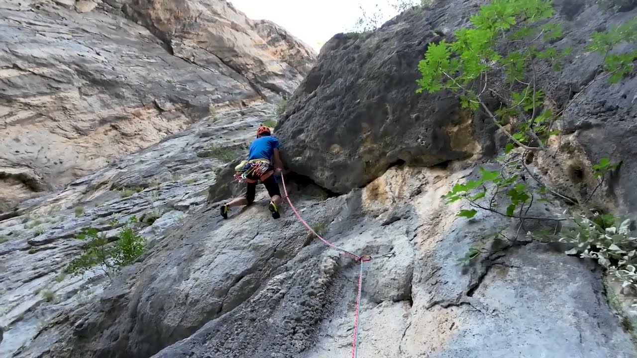 Debeli kuk - Sedmi kontinent