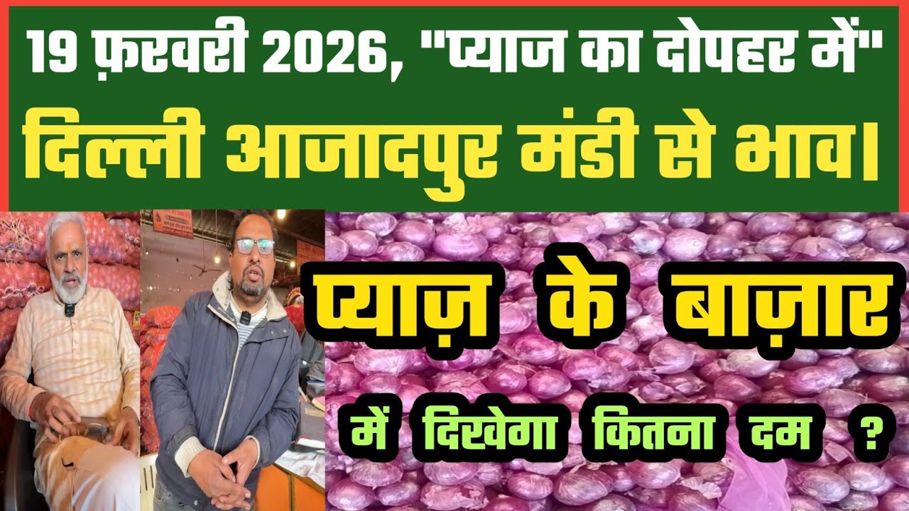 प्याज में भाव क्या ऐसे बनेंगे ? Azadpur Delhi Mandi Today में 19-02-2026 के Onion Price DMT TV