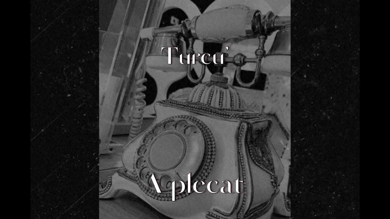 Turcu’ - A plecat ( Audio )