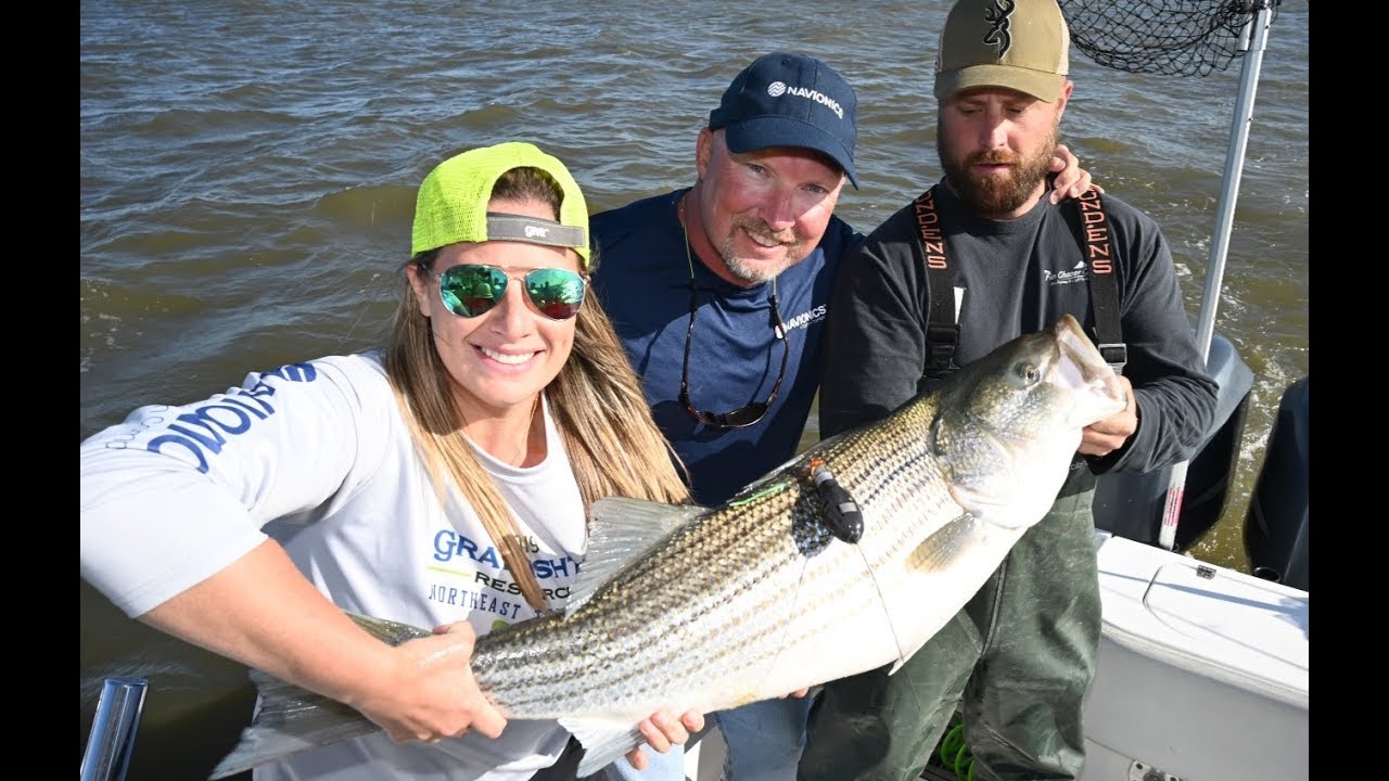 THE 2019 NORTHEAST STRIPED BASS STUDY