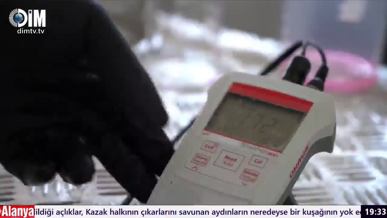 Dim Tv Alanya Canlı Yayını
