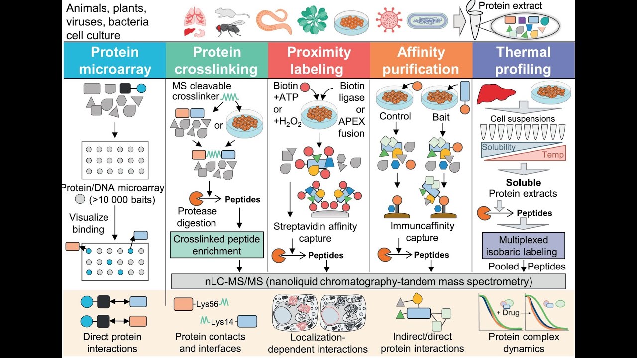 Breakthroughs in Proteomics & Single Molecule Protein Sequencing