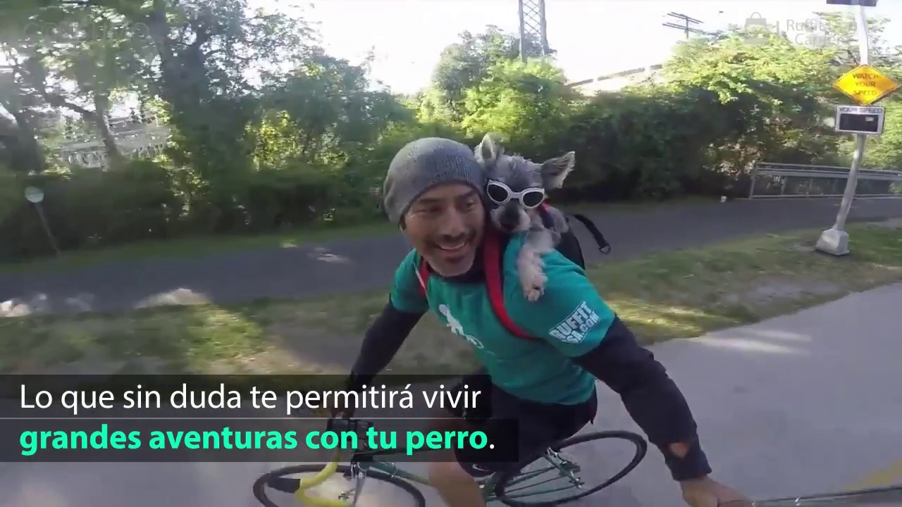 Mochila para perro