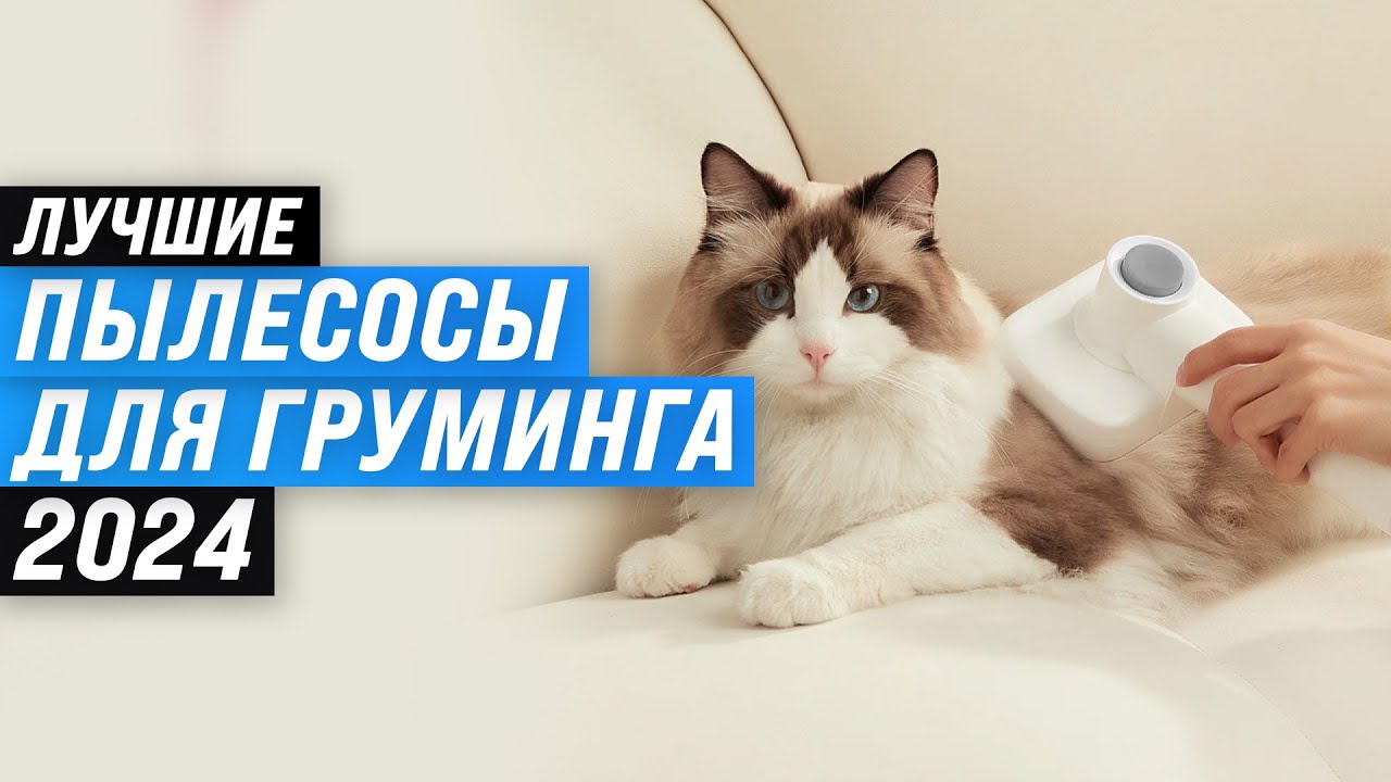 ТОП–6. Лучшие пылесосы для груминга 🐾 Рейтинг 2024 года 🏆 Какой выбрать для собак и кошек