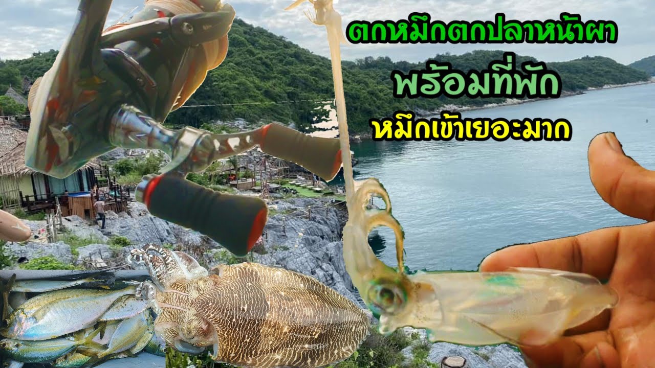 ตกหมึกตกปลาผาปารีฮัท เกาะสีชัง สายต่างจังหวัดอยากพักผ่อนไม่ควรพลาด #ปารีฮัทรีสอร์ท