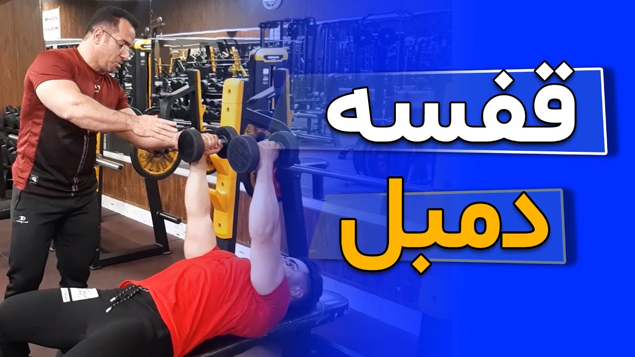 آموزش کامل قفسه سینه دمبل | نزن تا آسیب نبینی!!!