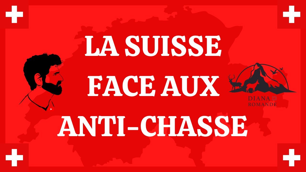 🇨🇭 La Suisse face aux anti-chasse 🇨🇭
