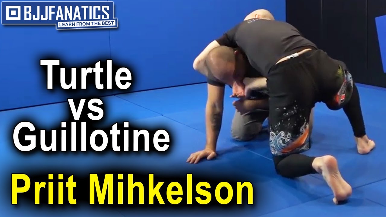 Turtle vs Guillotine by Priit Mihkelson