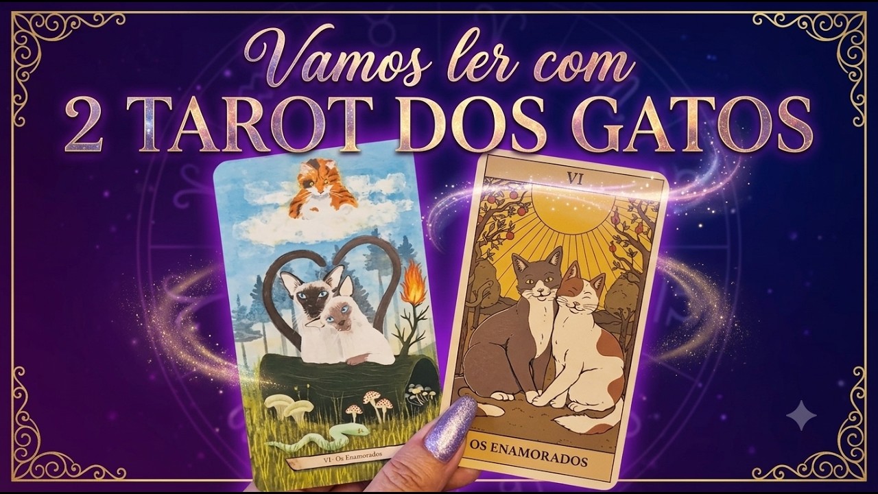😸VAMOS LER COM O TAROT DOS GATOS