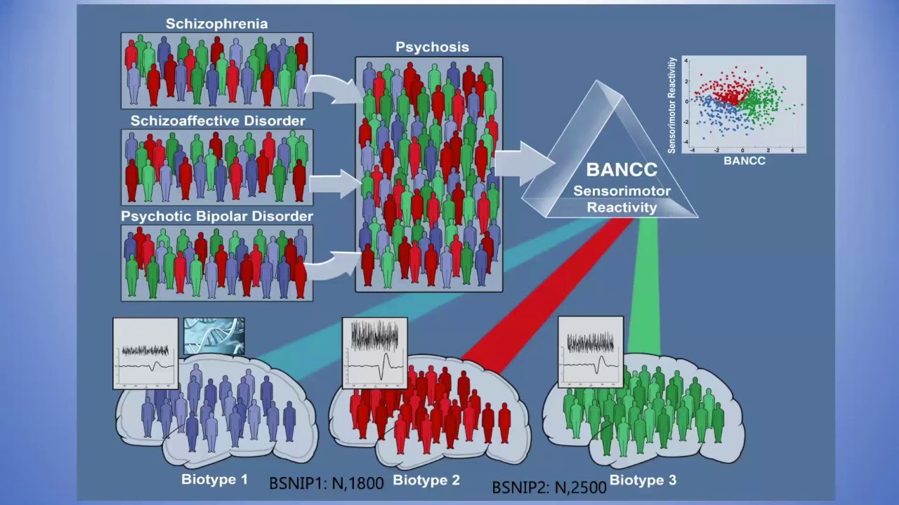 Discovering Neurobiology for Psychosis