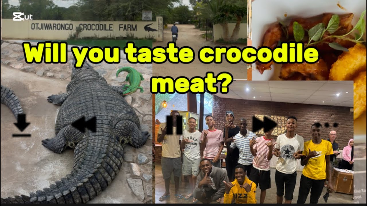 Pk De villiers S.S Trip,I Ate Crocodile Meat&Held a Live Croc 🐊 in Namibia!Unbelievable Experience!