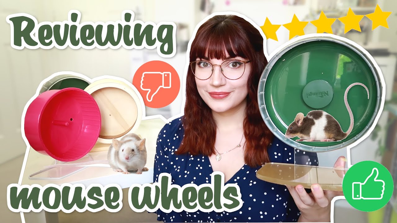 All the wheels I've tried for Mice & niteangel wheel review