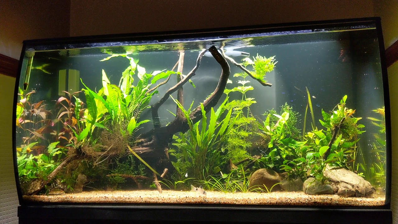 Fluval Mega Flex 123