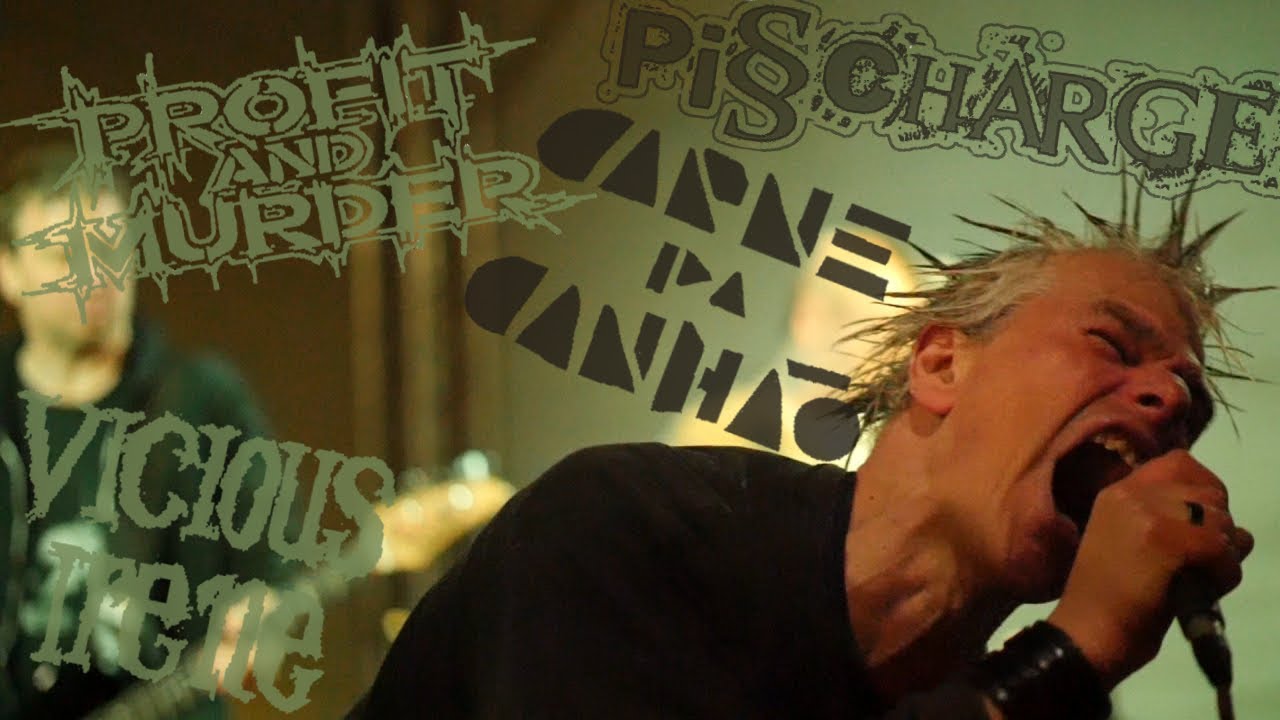 Pisscharge, Profit and Murder, Carne pa Carnao und Vicious Irene live auf der Stoerte Bühne