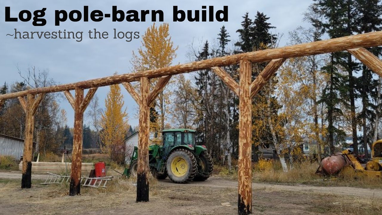Log Pole Barn Build - Harvesting the logs