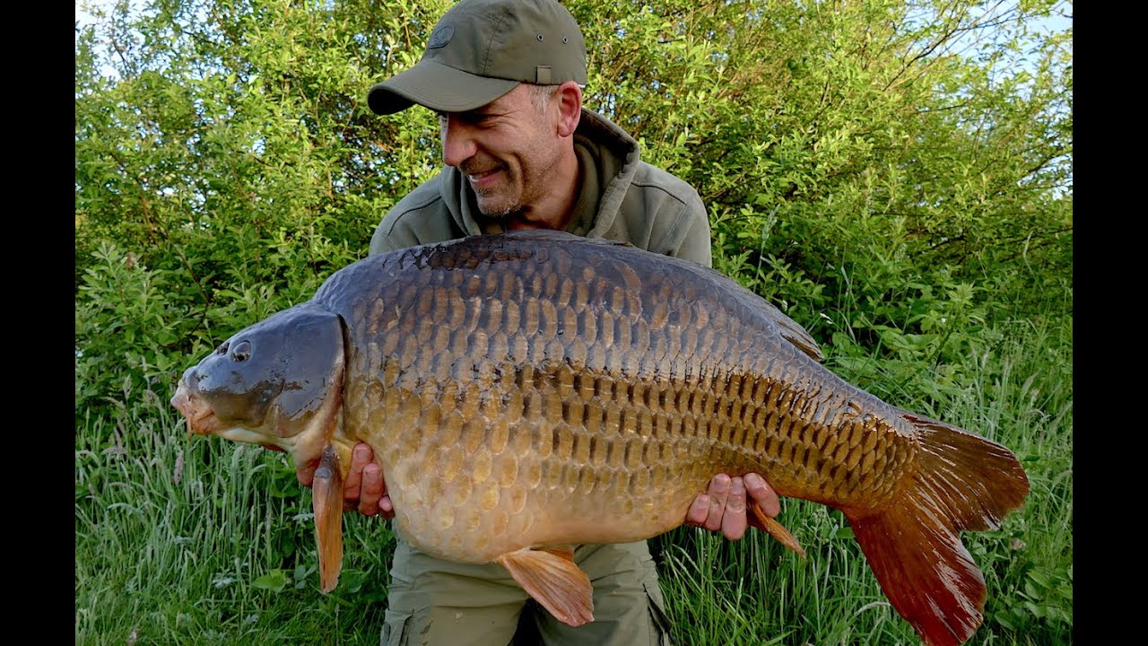 40lb Yorkshire CARP