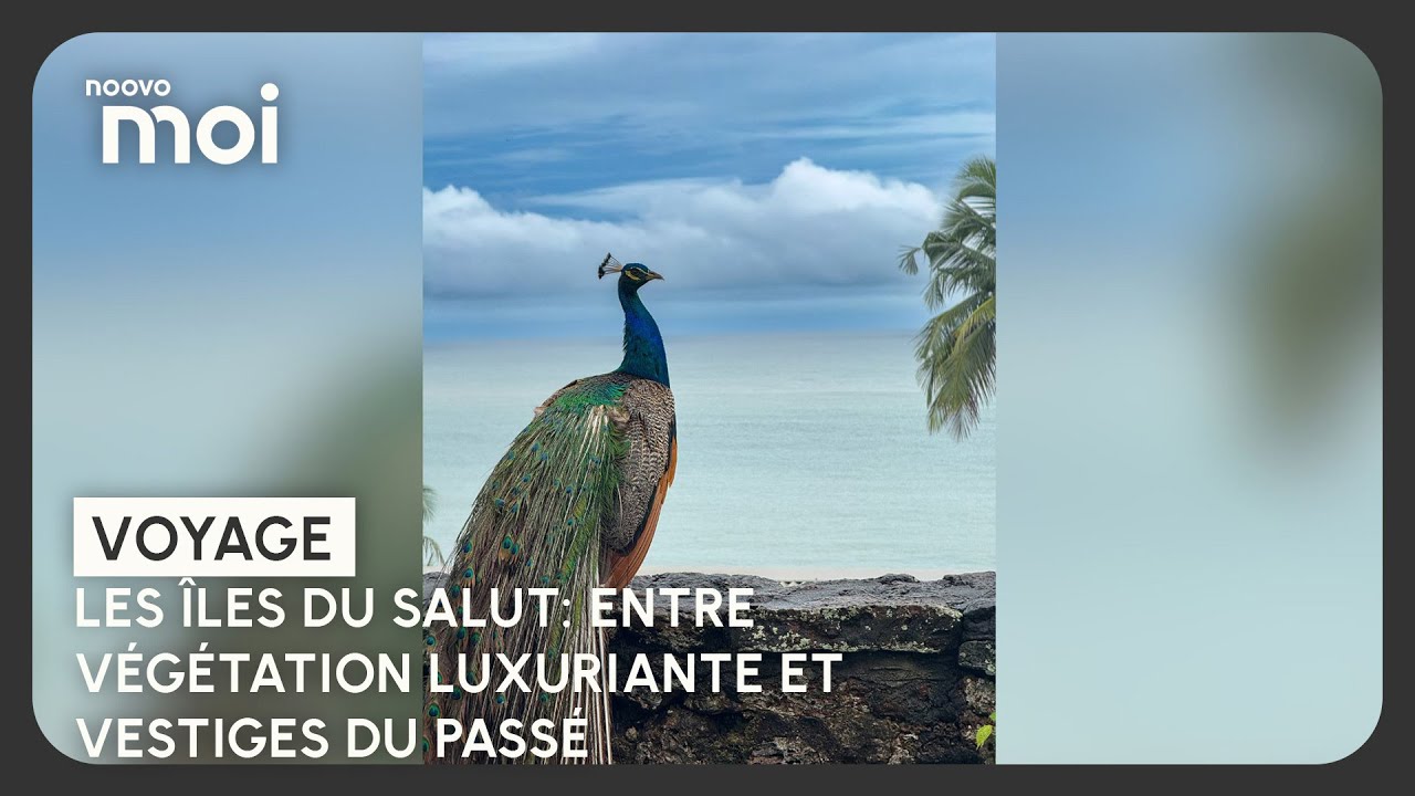 Les &icirc;les du Salut: entre v&eacute;g&eacute;tation luxuriante et vestiges du pass&eacute;