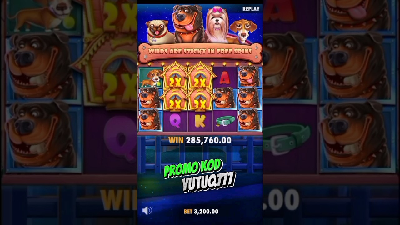 The Dog House Max win juda zur #1win #gaming #jackpot #gatesofolympus #1xgames #crystal #slot