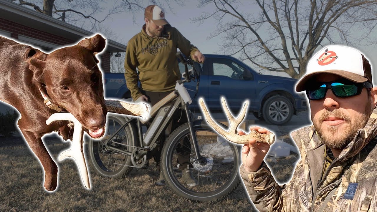 ANTLER HUNTING With My Dog On A LONG RANGE E-BIKE