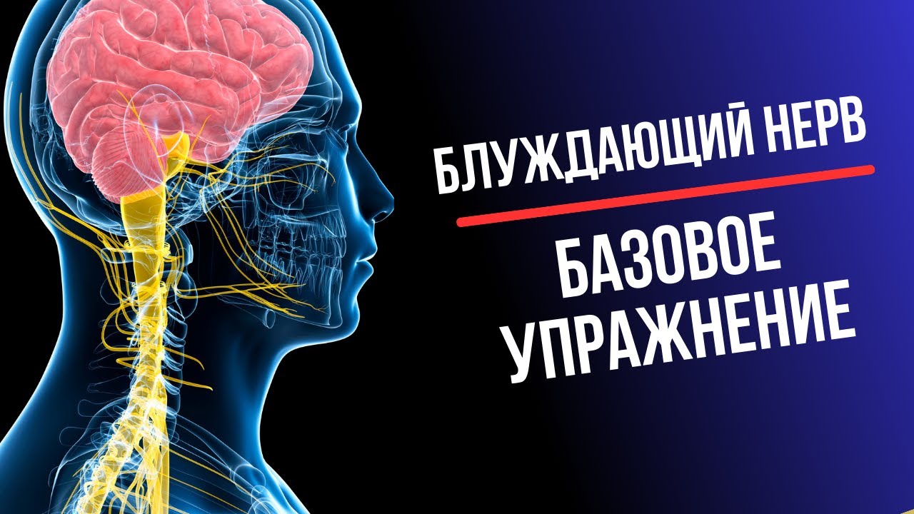 Самое важное упражнение для блуждающего нерва!