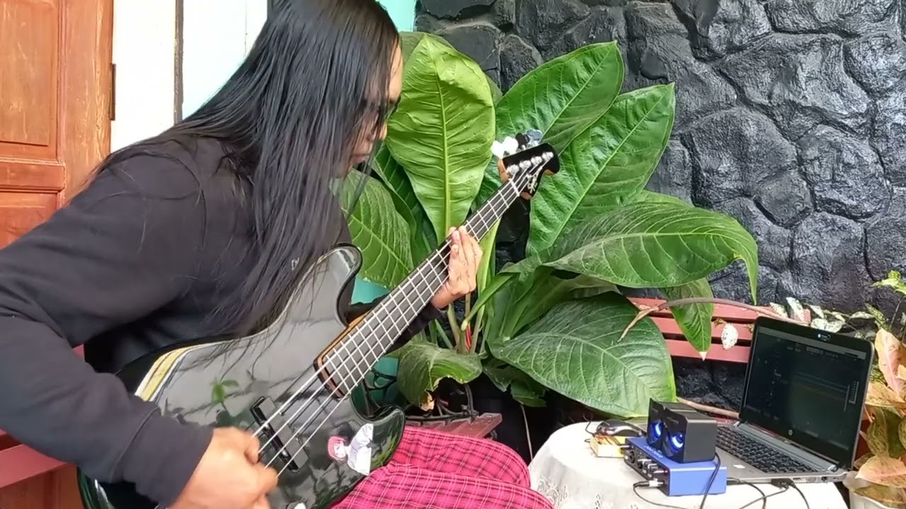 The Presidents of the United States of America - Peaches. (Bass Cover By 