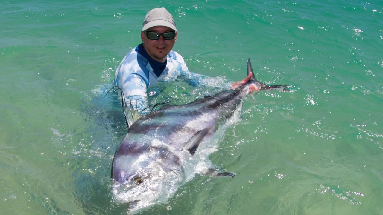 Lost Coast Outfitters Fish Stories: John Sherman and the Rooster Fish of a Lifetime