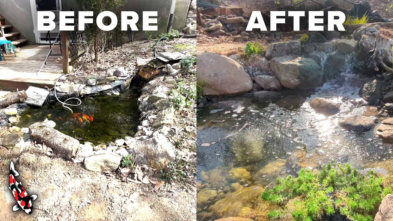 8x11' Aquascape Ecosystem Pond Redo (Full Timelapse!)