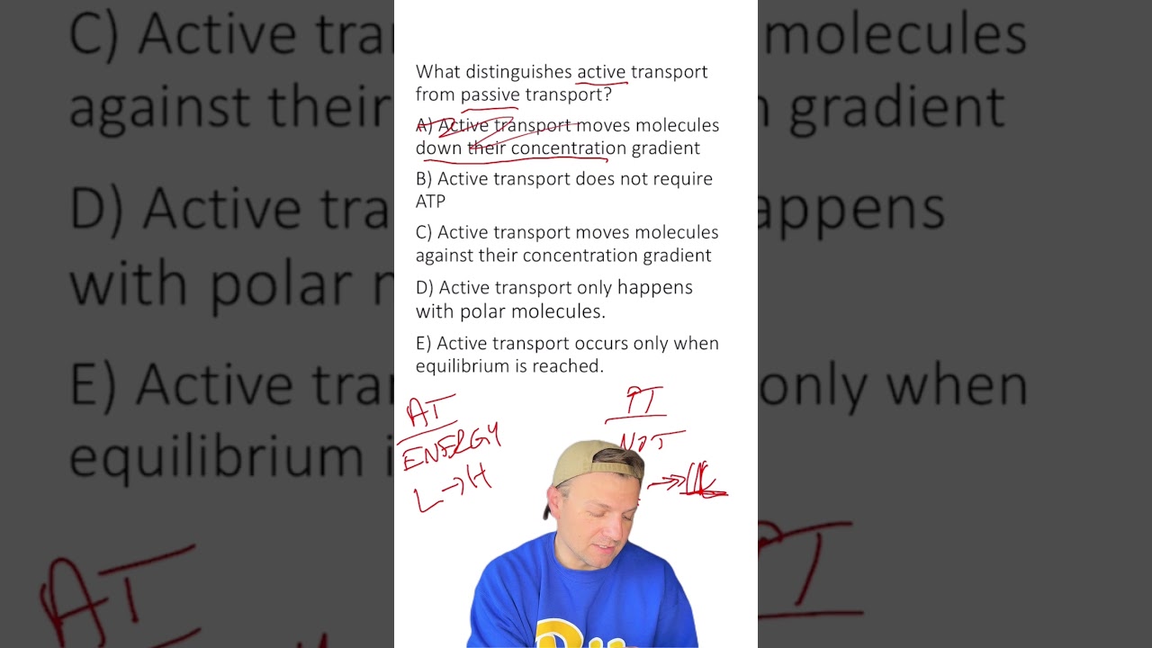 MCQ: Активный и пассивный транспорт