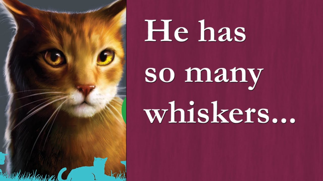 Onewhisker's name makes NO SENSE! (Warrior Cats)