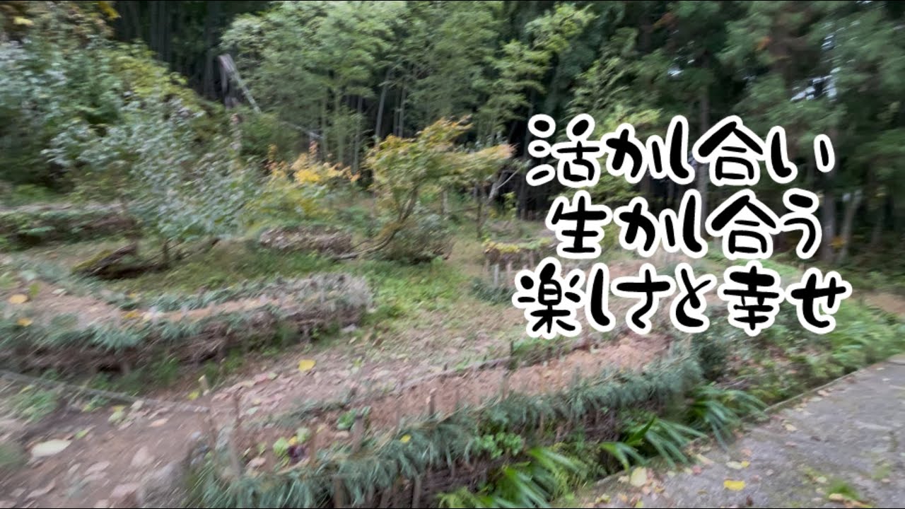 倉庫からLABOへ 30 お庭創り