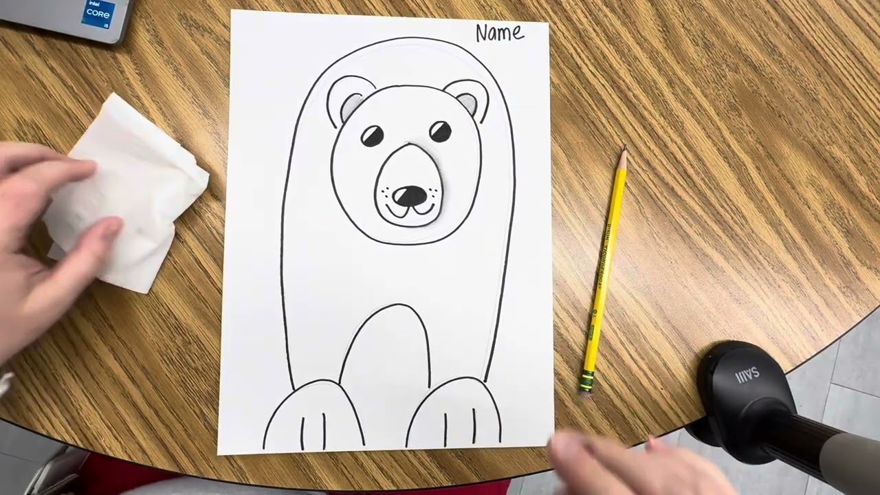 Polar Bear Drawings 