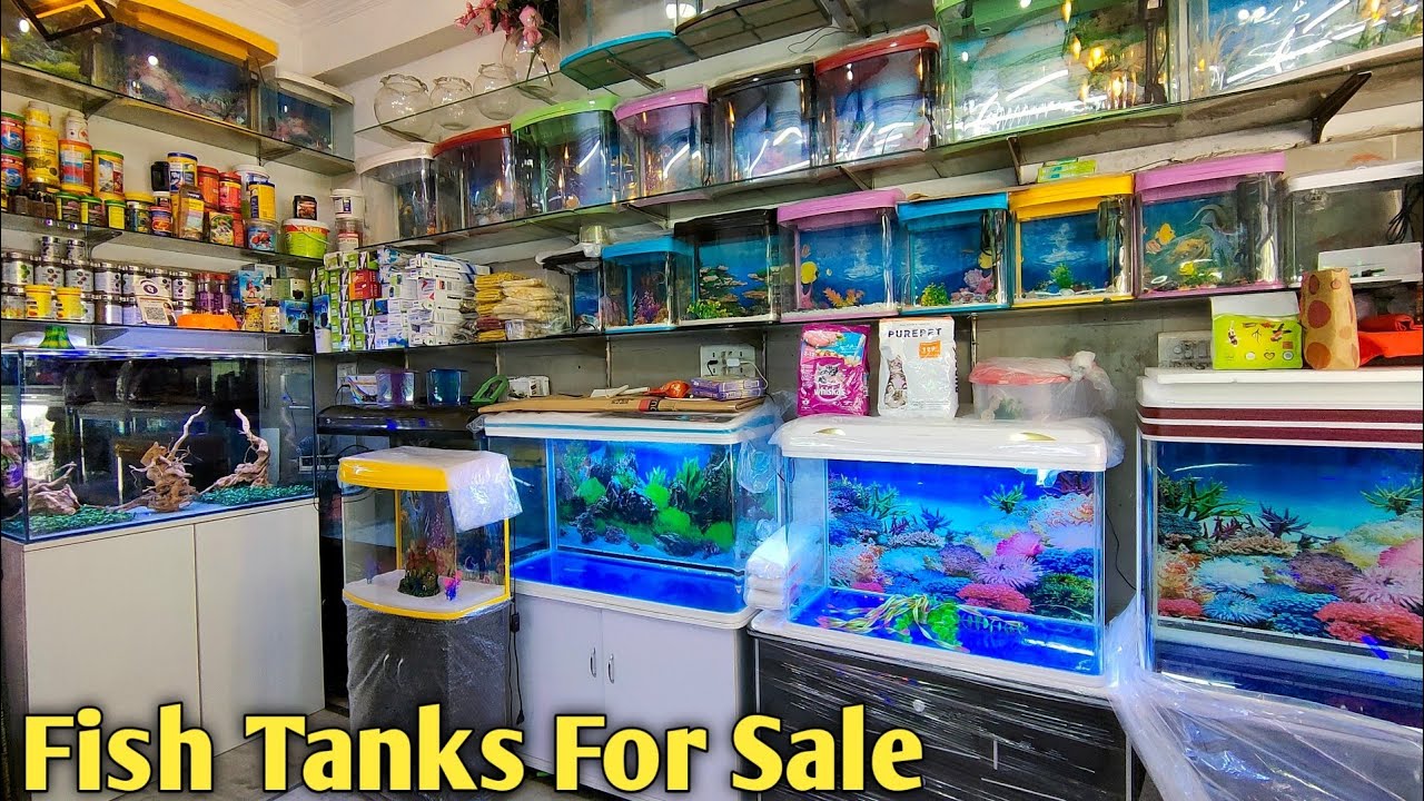 Fish Tanks For Sale At Star Aquarium Shop In Subhash Nagar | Imported & Hand Made Aquariums Delhi