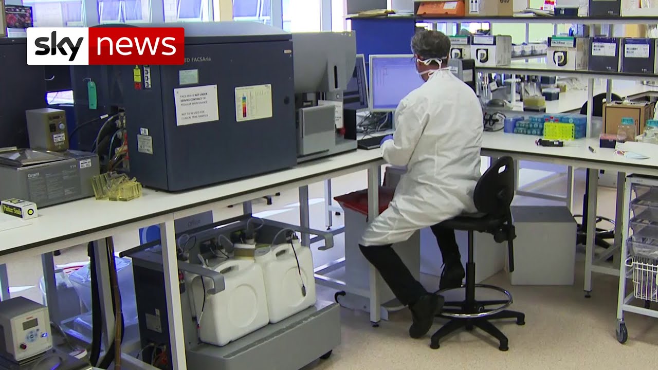 Coronavirus: experimental drug stops virus from progressing
