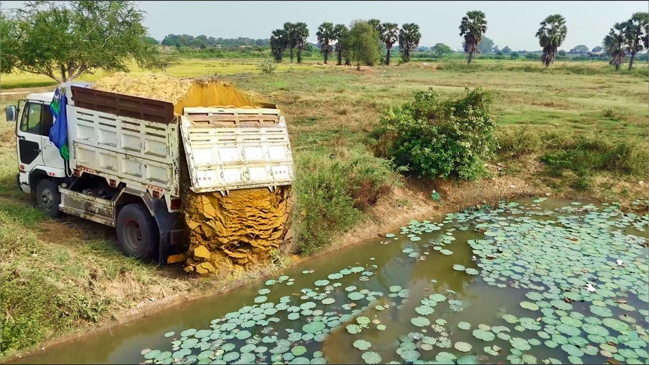 Full video,Started New Project!Dump Truck Filling Sand Delete Pond By Bulldozers D40 EX Pushing Sand