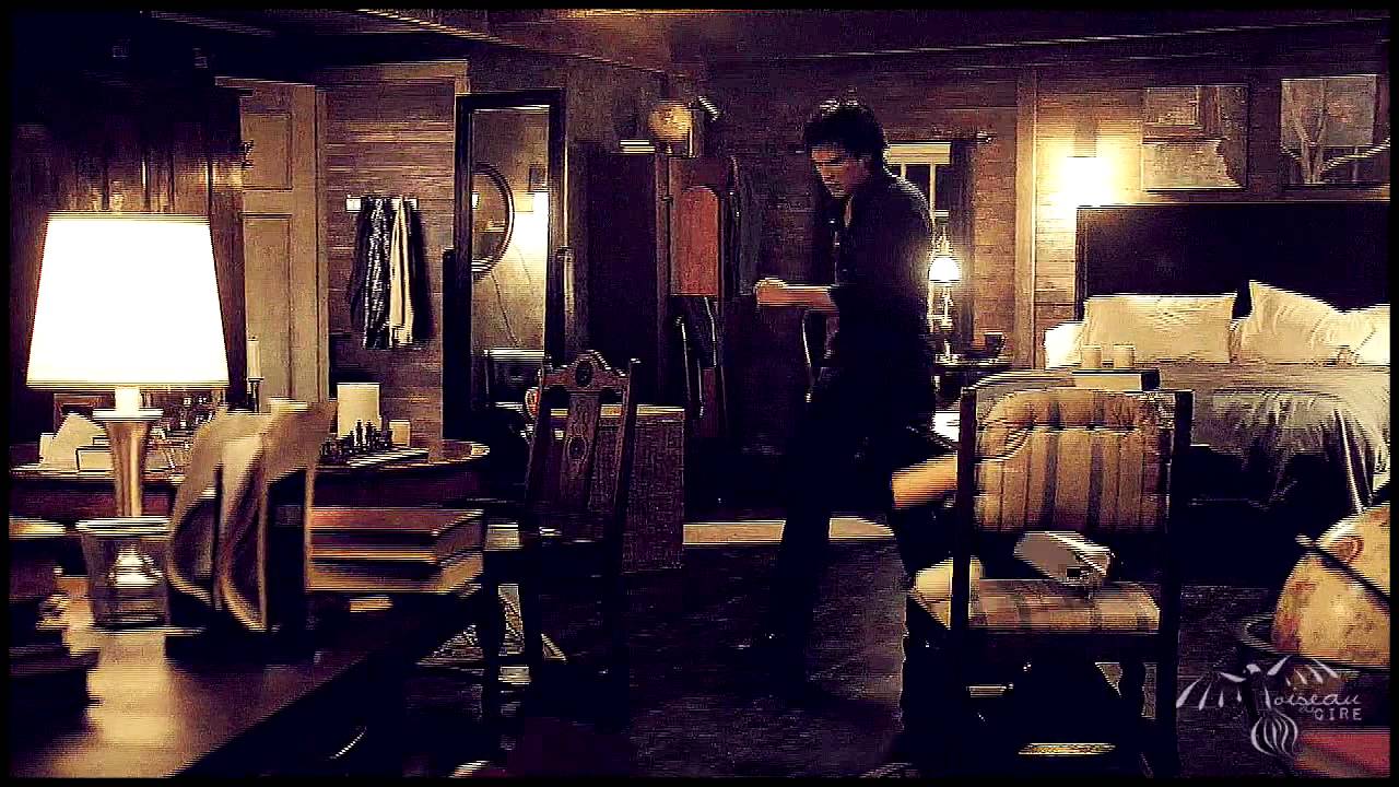 Damon + Elena ► You lift me up with your love [Project X]