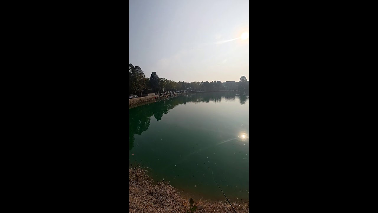 Giant Saltwater Fish Hunt LIVE | 巨大魚ハント生放送 2026-01-12 