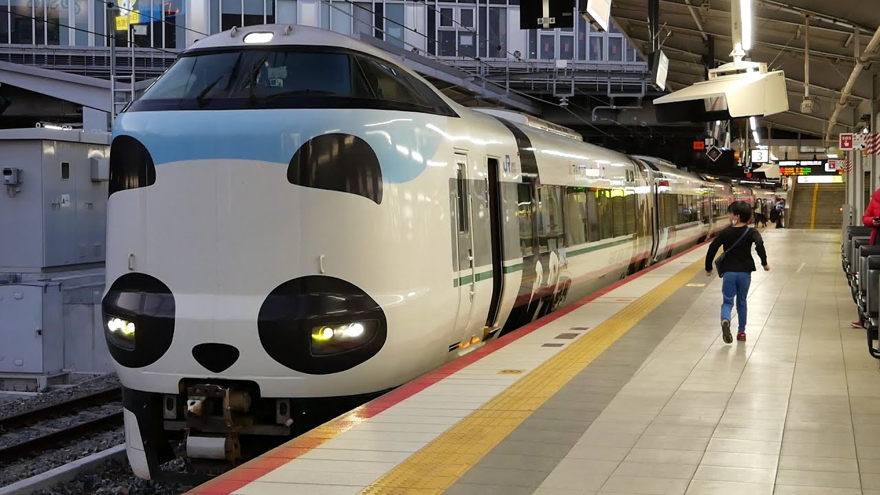 パンダくろしお「Smile アドベンチャートレイン」287系 くろしお23号　白浜行　新大阪駅　2020/3