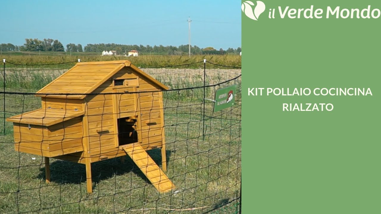 IL MIGLIORE KIT POLLAIO PER ALLEVARE GALLINE OVAIOLE IN GIARDINO