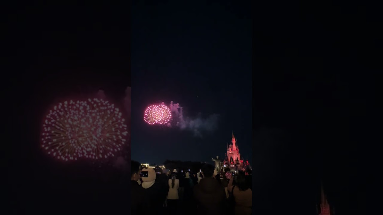 Tokyo Disneyland - Fire works 
