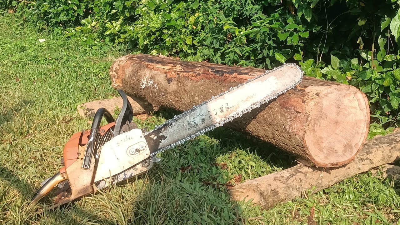 Hou's Skills chainsaw block size cutting skill