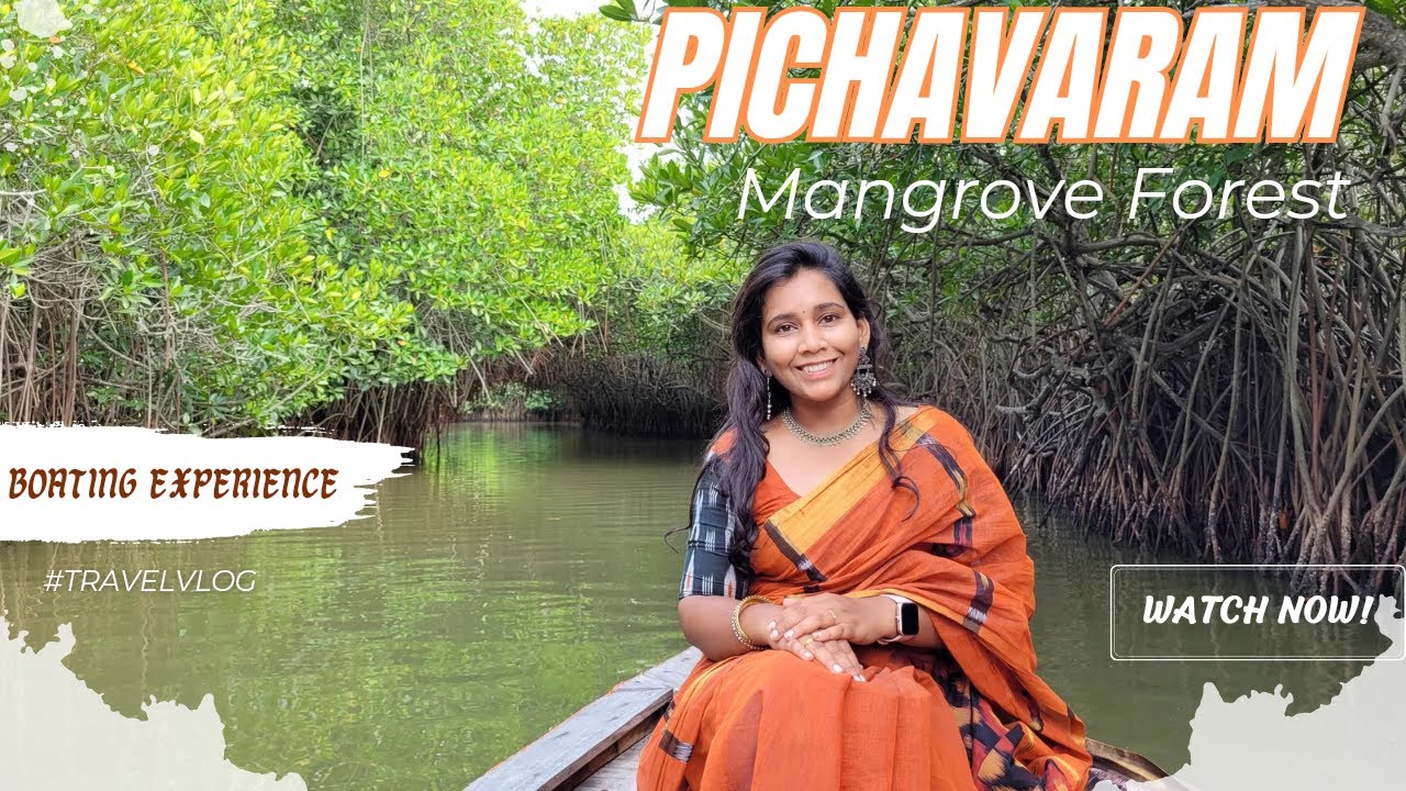 Pichavaram Boating | Pichavarm Mangrove Forest | Chidambaram ❤️