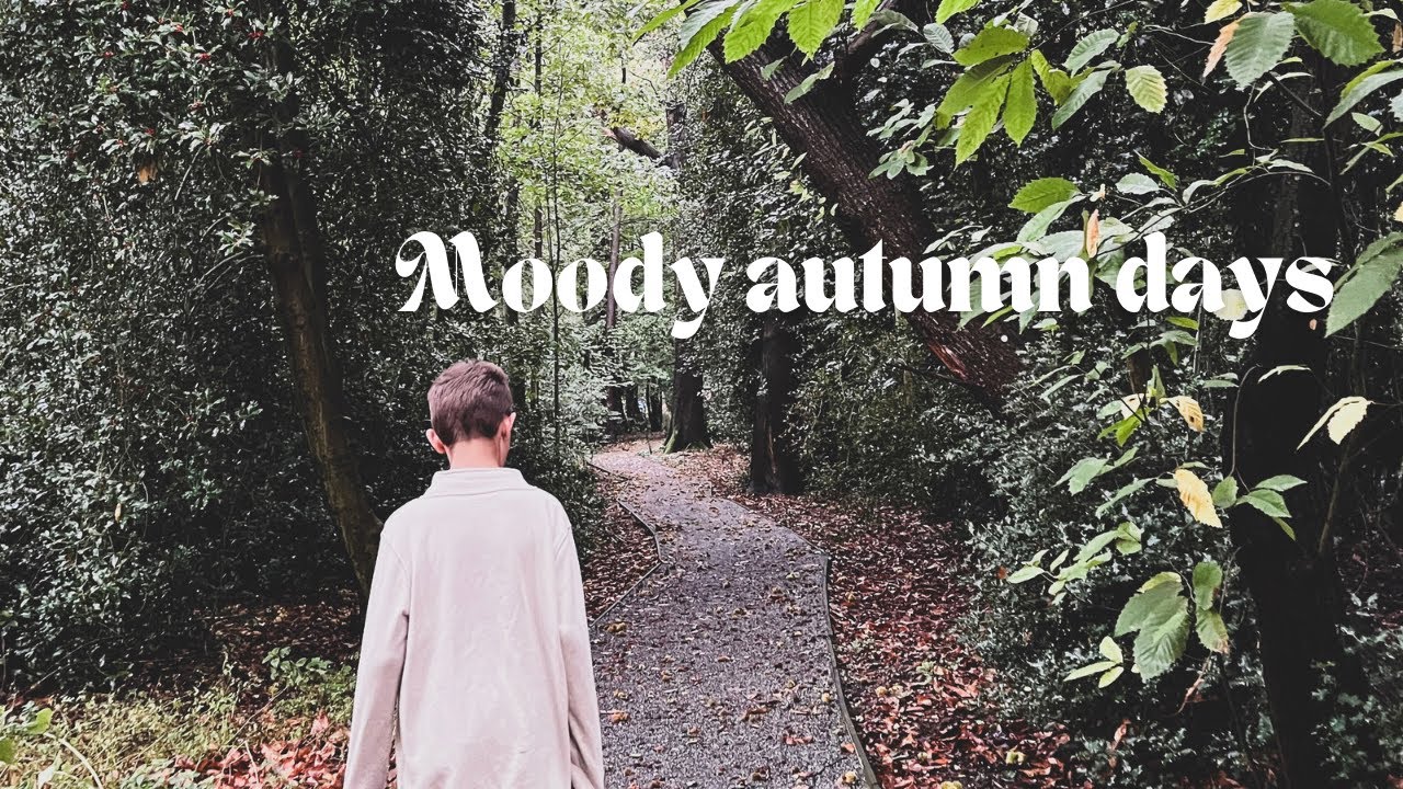Rainy autumn day vlog 🍂